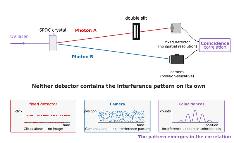 Schematic of a ghost interference experiment. A source produces entangled photon pairs. One path contains a double slit followed by a single-pixel fixed detector. The other path leads to a scanning detector. An arrow labelled “coincidences” connects the two detectors to a graph showing an interference pattern.
